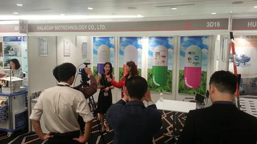 电子游戏app网址大全