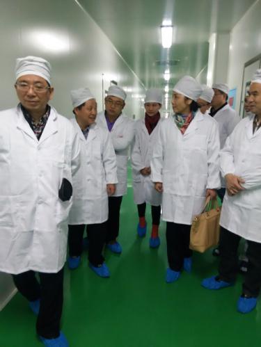 电子游戏app网址大全