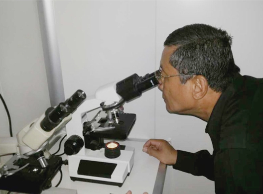 电子游戏app网址大全