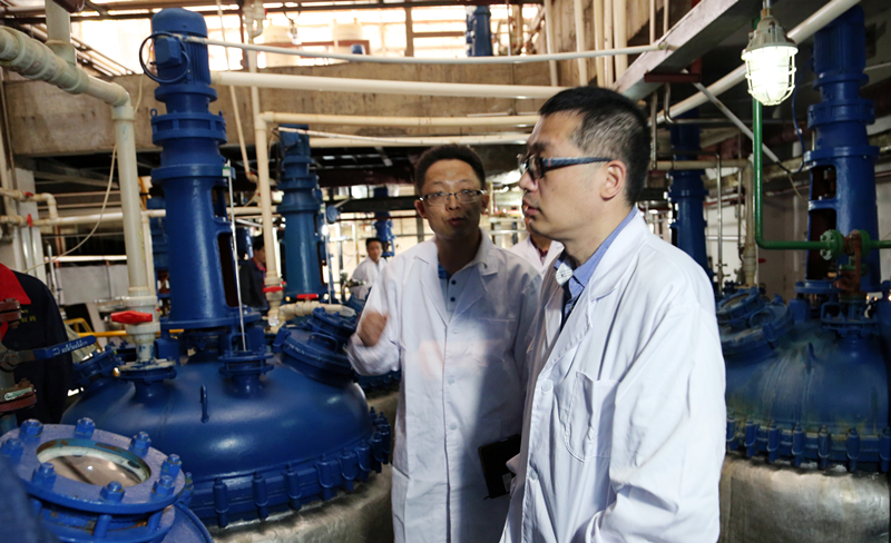 电子游戏app网址大全