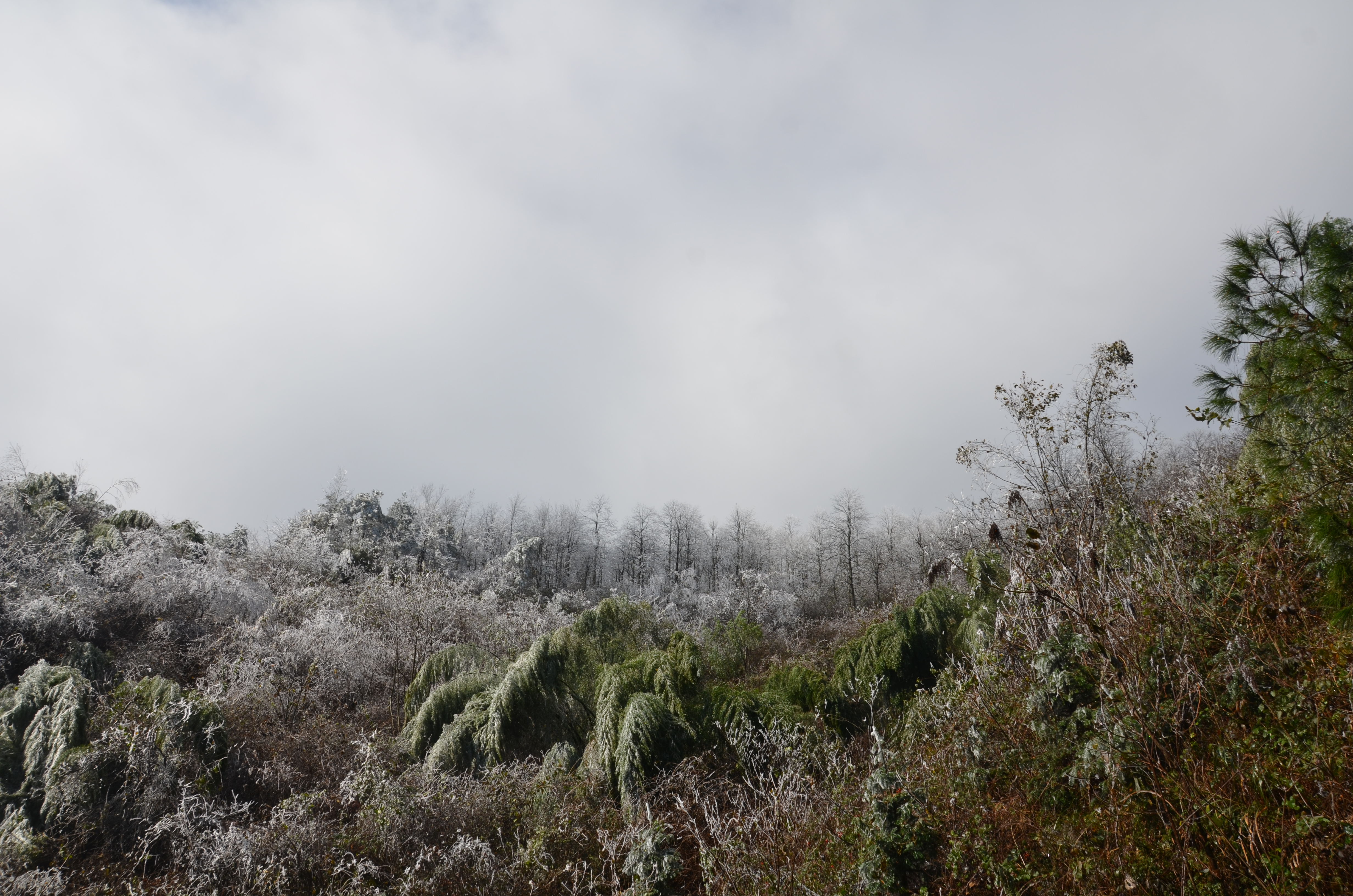 电子游戏app网址大全