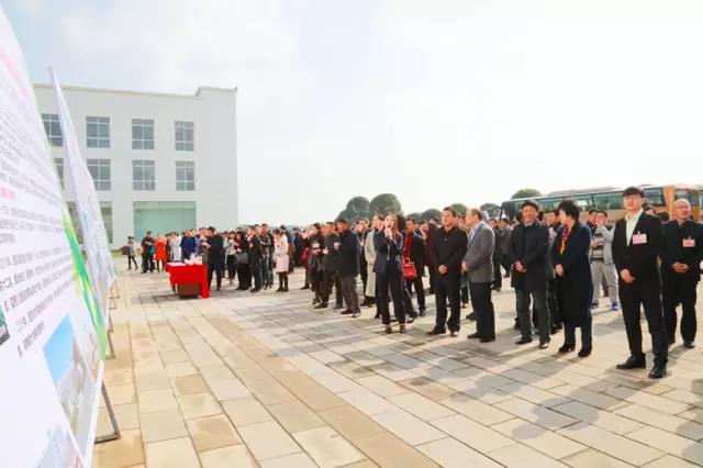 电子游戏app网址大全