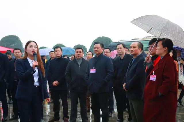 电子游戏app网址大全