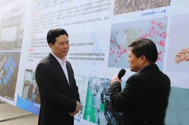 电子游戏app网址大全