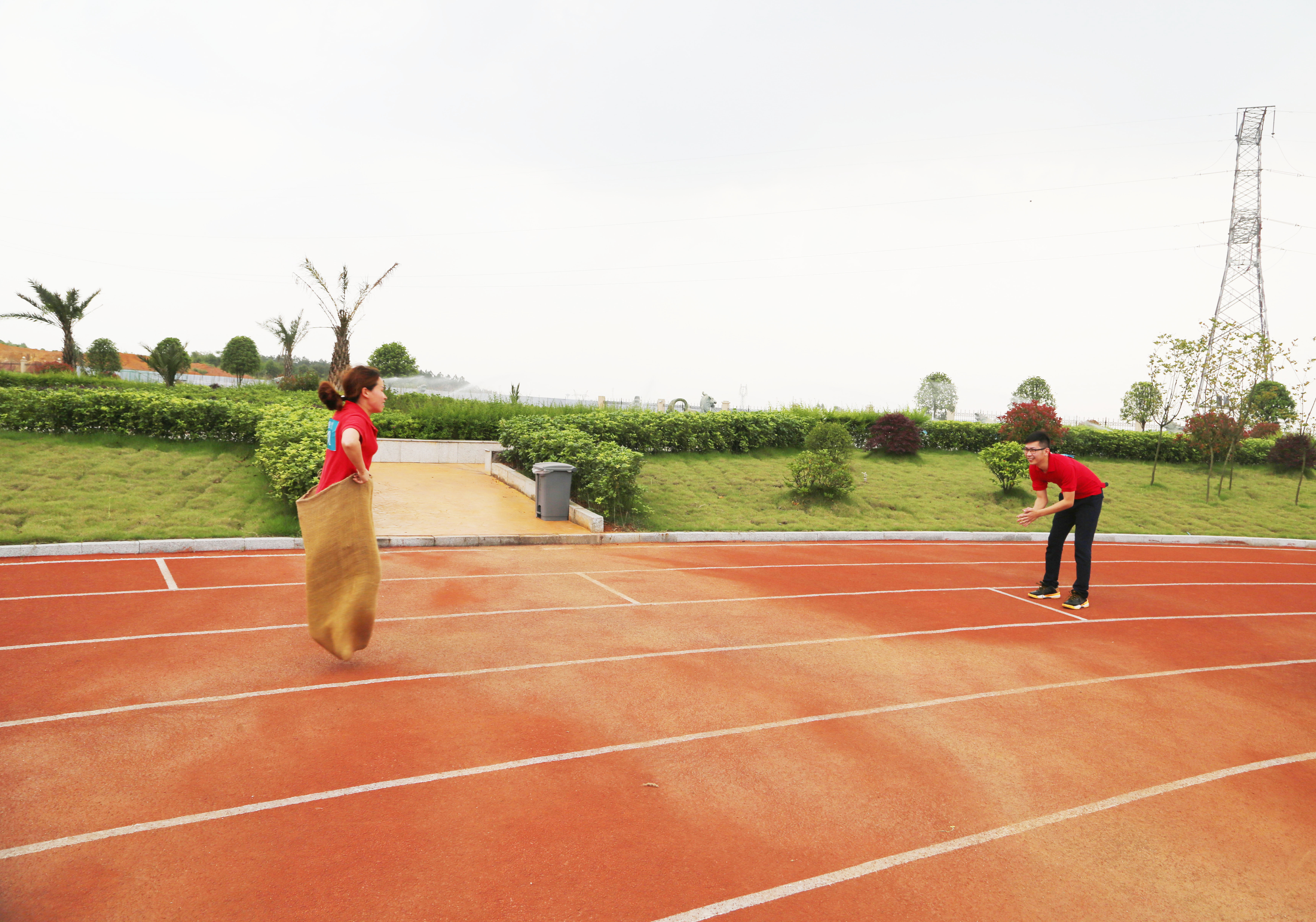 电子游戏app网址大全