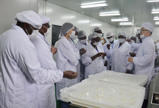 电子游戏app网址大全