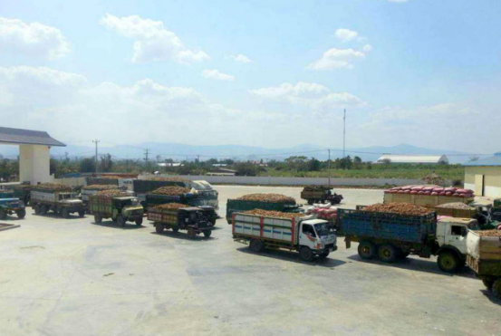 电子游戏app网址大全