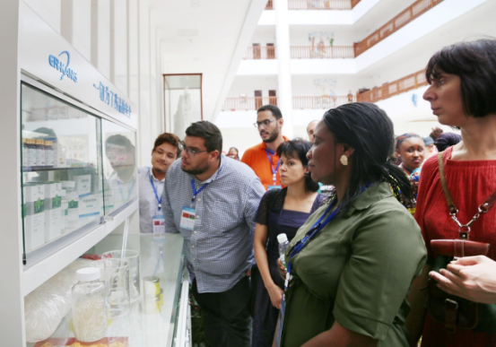 电子游戏app网址大全