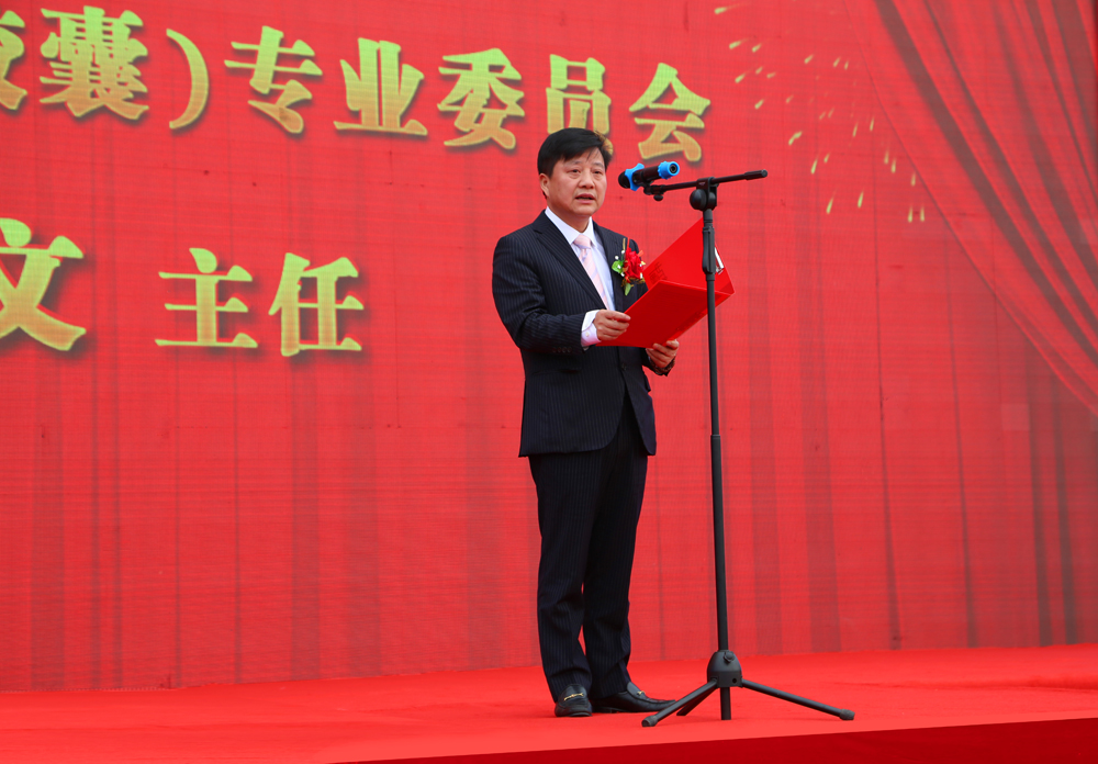 电子游戏app网址大全