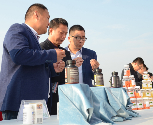 电子游戏app网址大全