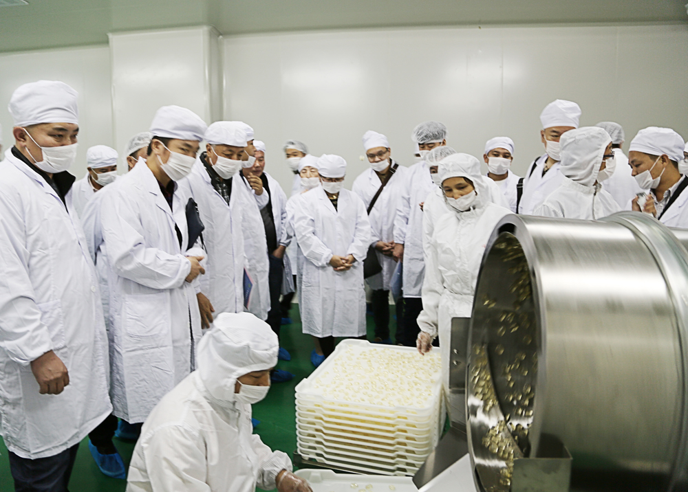 电子游戏app网址大全