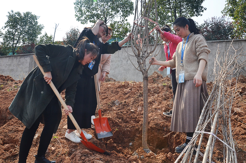 电子游戏app网址大全