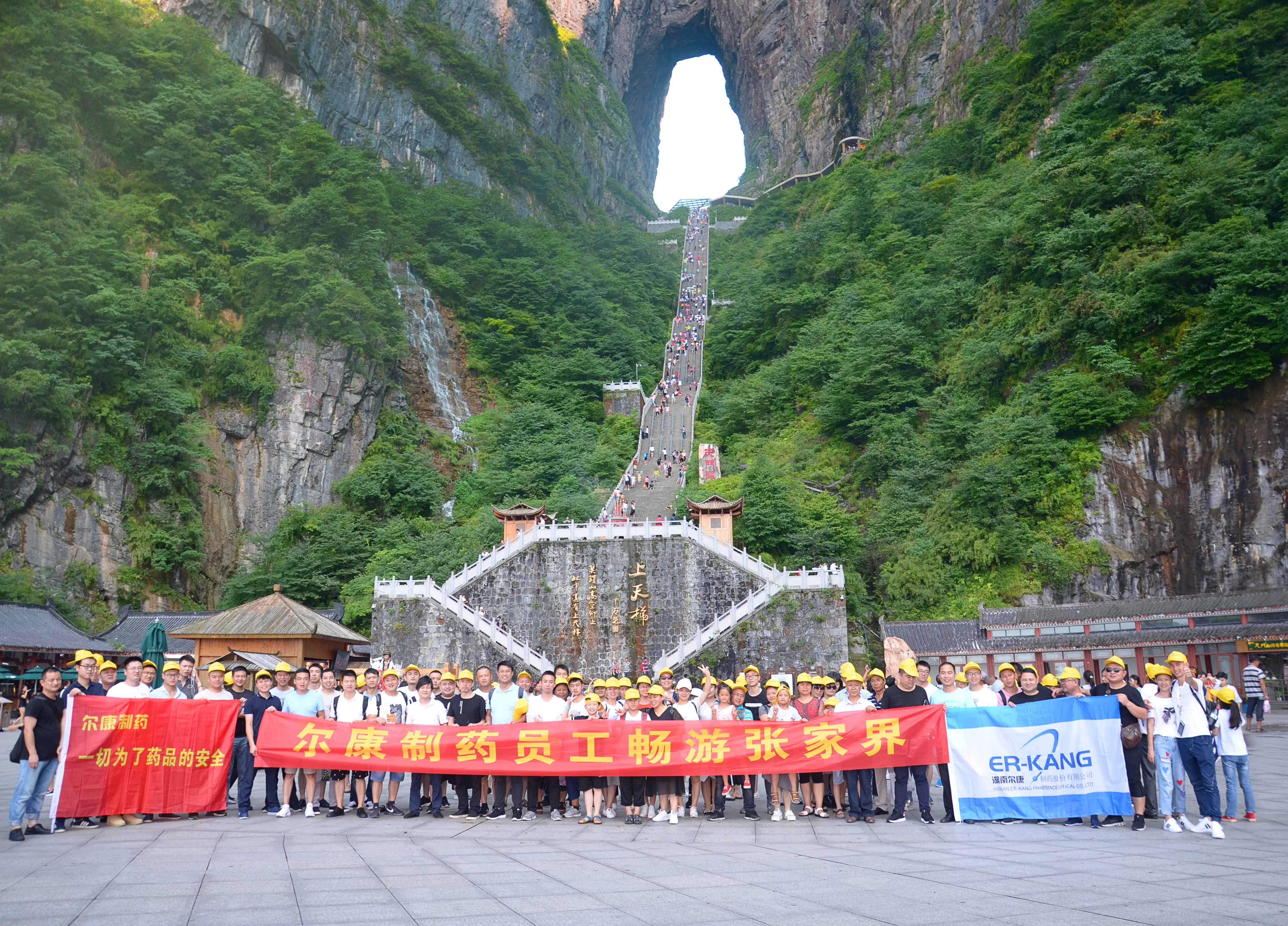 电子游戏app网址大全