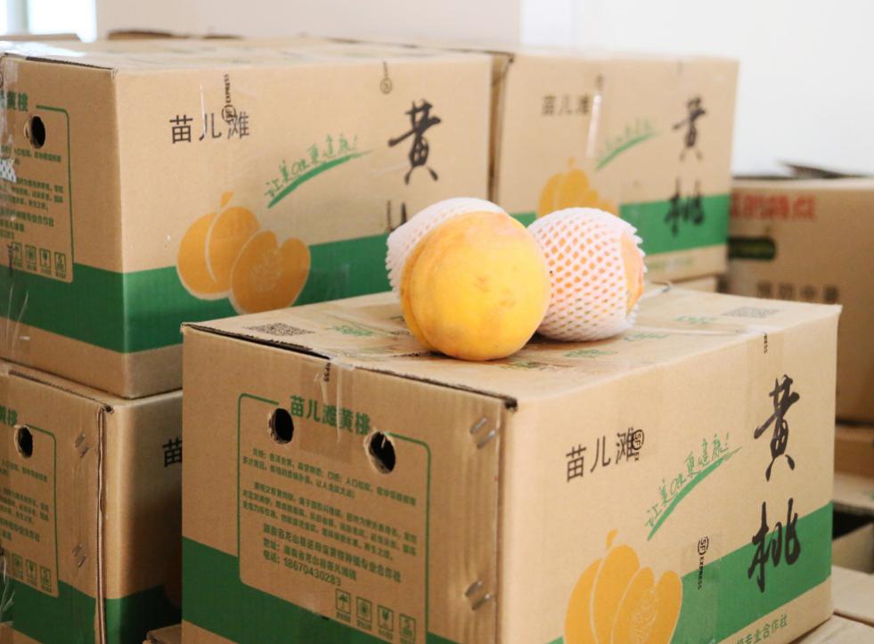 电子游戏app网址大全