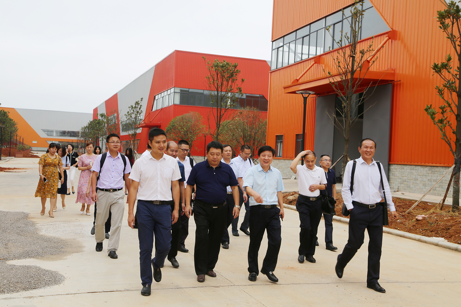 电子游戏app网址大全