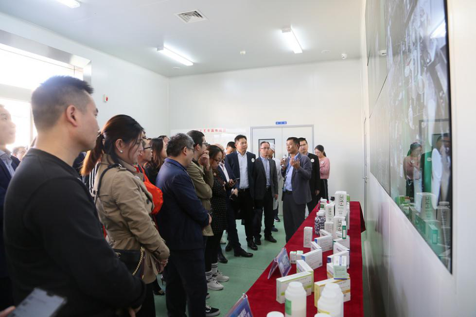 电子游戏app网址大全