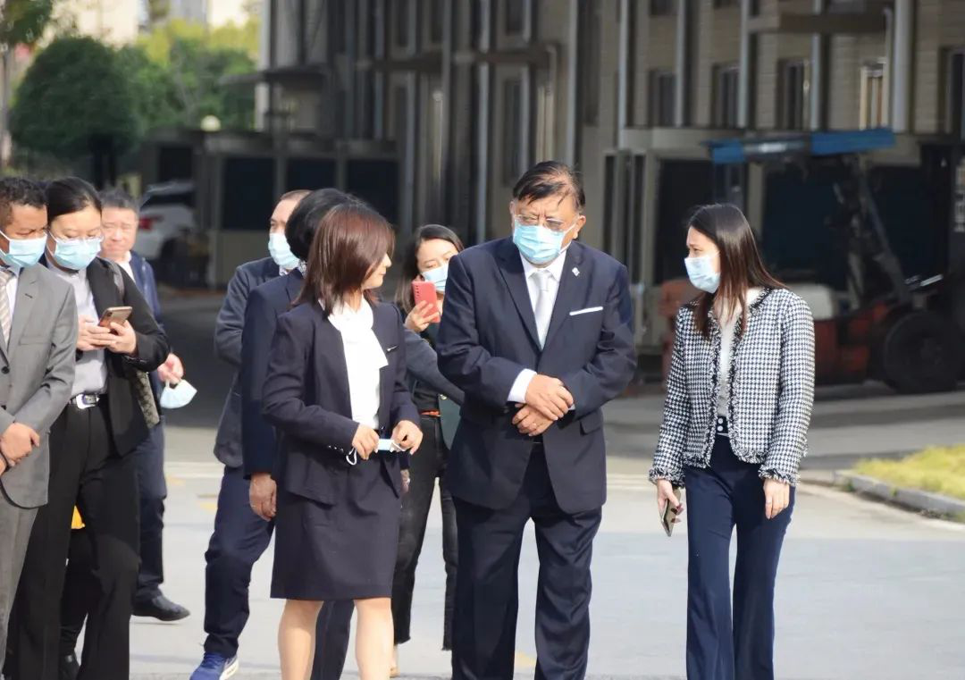 电子游戏app网址大全