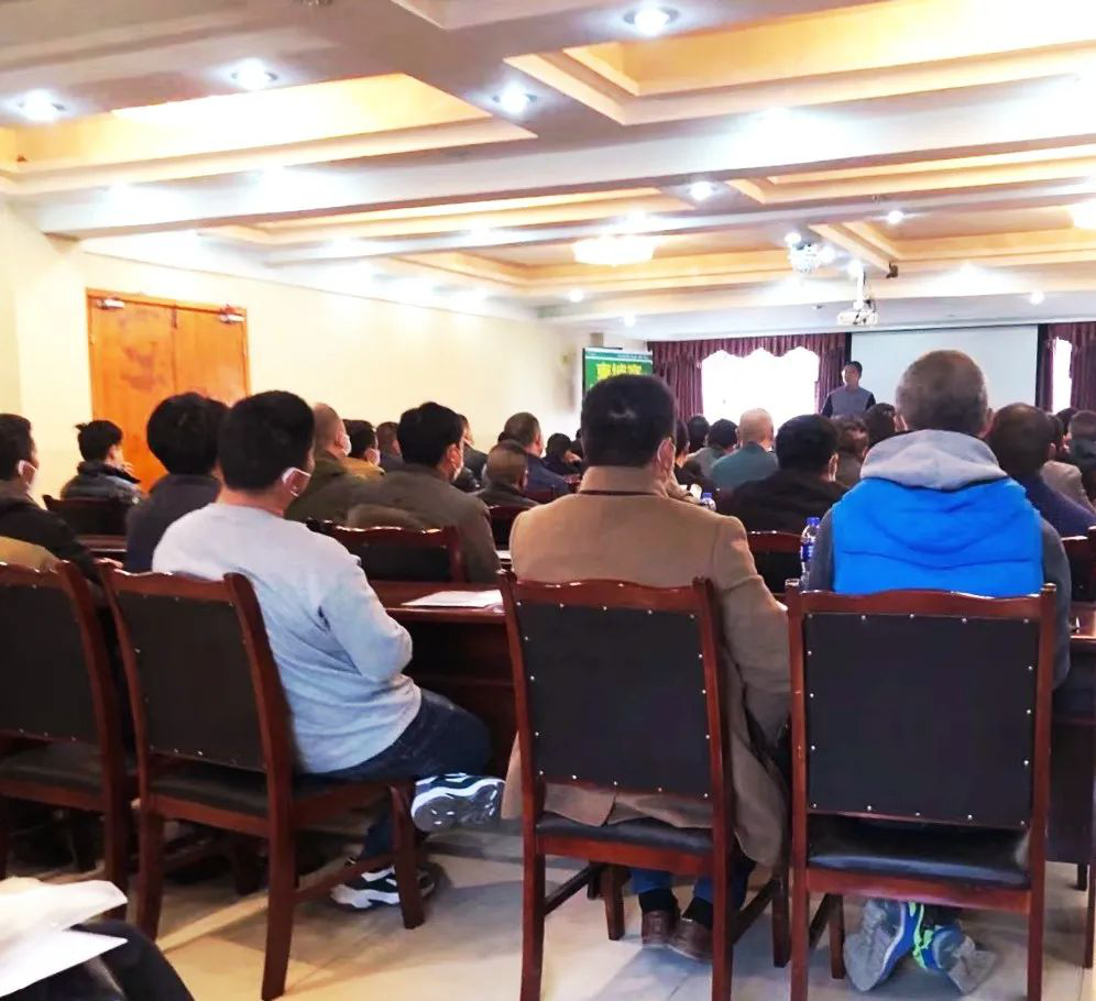 电子游戏app网址大全