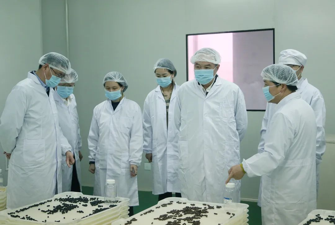 电子游戏app网址大全