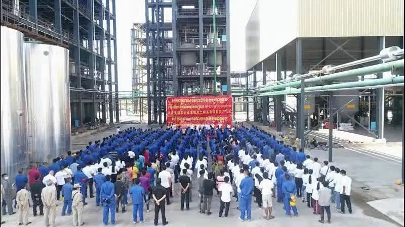 电子游戏app网址大全