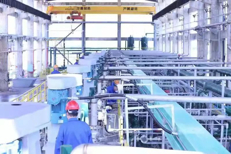 电子游戏app网址大全