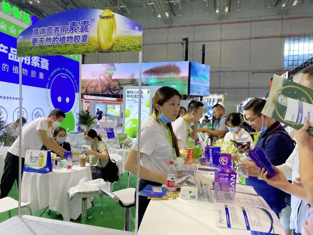 电子游戏app网址大全