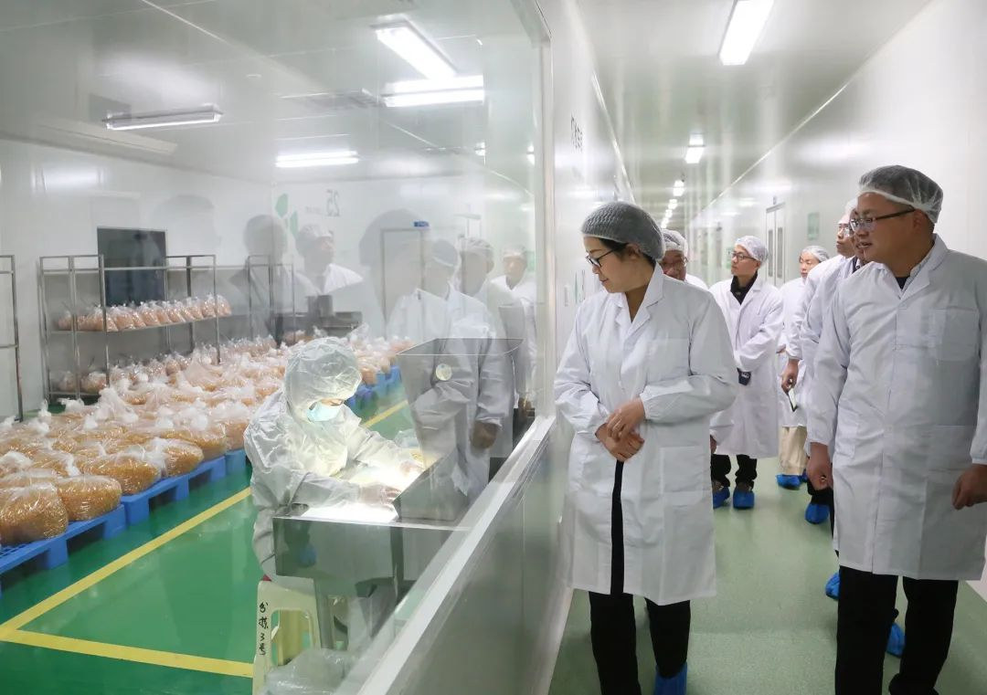 电子游戏app网址大全