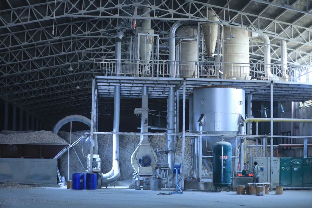 电子游戏app网址大全