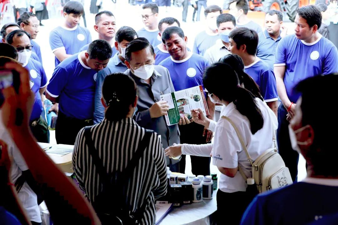 电子游戏app网址大全