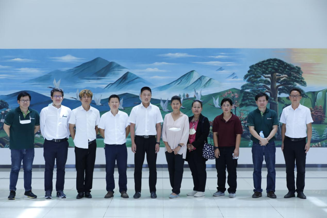 电子游戏app网址大全