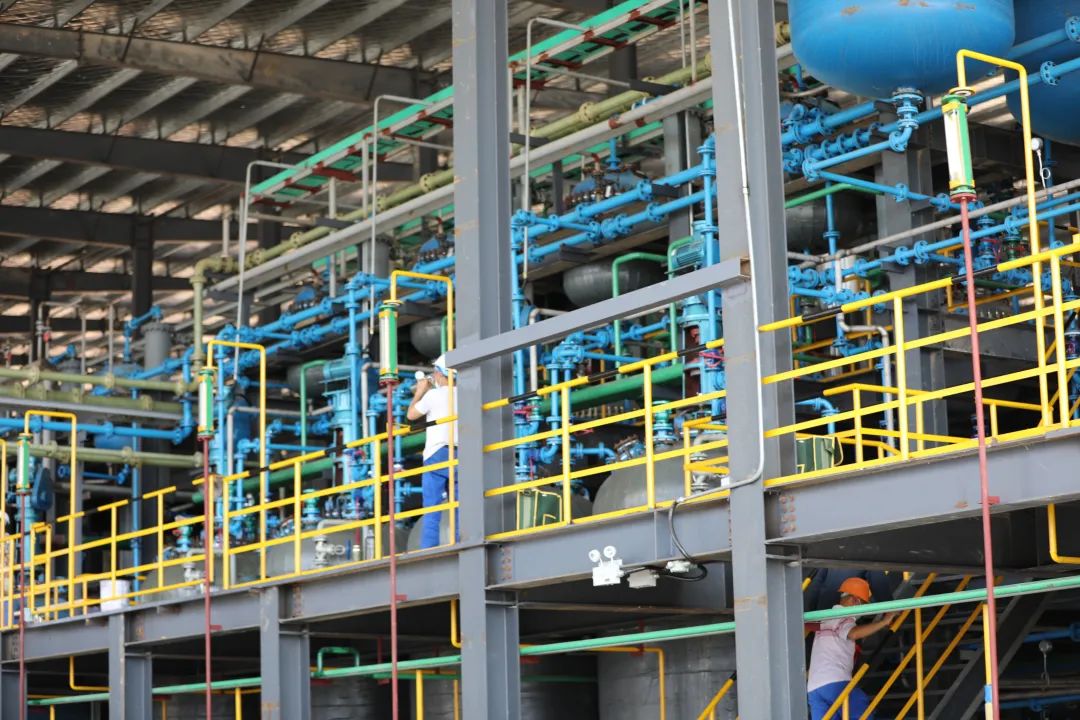 电子游戏app网址大全