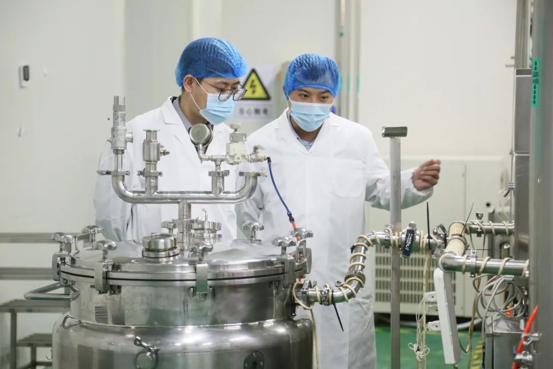 电子游戏app网址大全