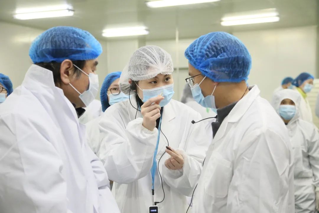 电子游戏app网址大全