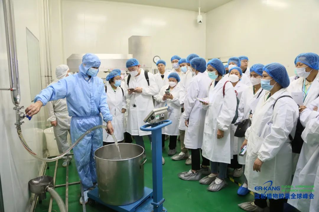 电子游戏app网址大全